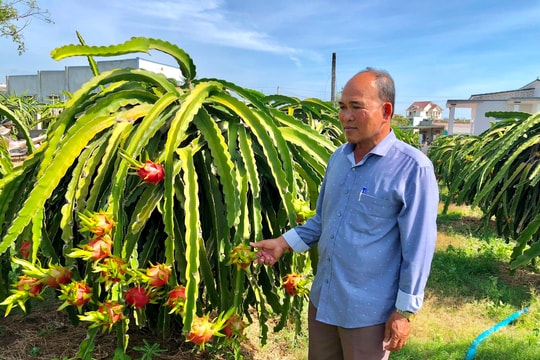 Người cao tuổi với phong trào “Tuổi cao - Gương sáng”