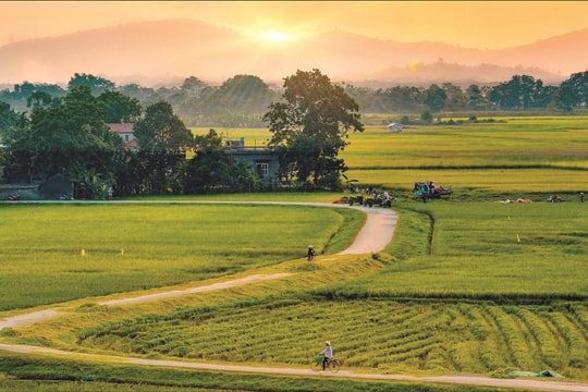 “Buồn nhớ quê hương”