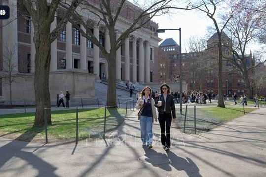 Cơn sốc của sinh viên quốc tế ở Harvard