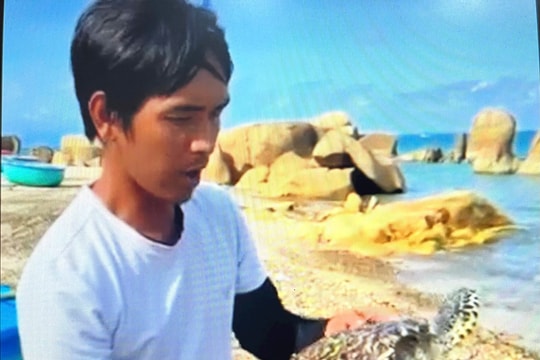  Một ngư dân xã Bình Thạnh thả rùa biển về môi trường tự nhiên