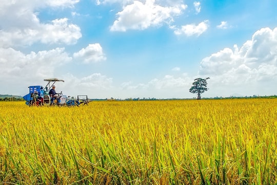Phát triển khoa học công nghệ đồng hành với chuyển dịch cơ cấu kinh tế