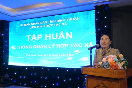  Tập huấn hệ thống quản lý Hợp tác xã