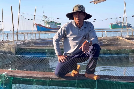 Người đàn ông làm mực lá… sinh sôi!