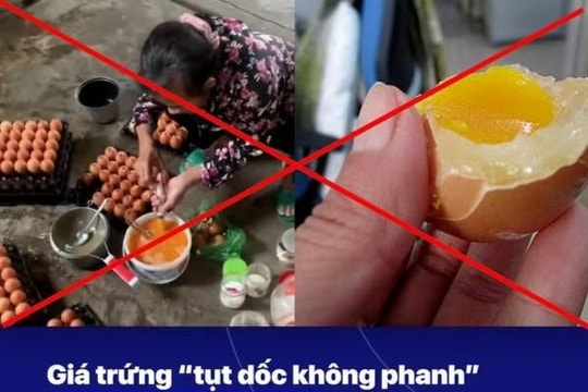 Tỉnh táo trước thông tin trứng gà giả đang lan truyền