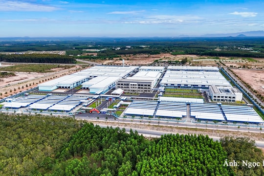 Bình Thuận đẩy mạnh xúc tiến đầu tư FDI: HLI tiên phong với dự án công nghiệp xanh