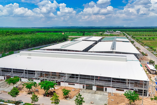 Bình Thuận đẩy mạnh xúc tiến đầu tư FDI: Hòa Long Invest tiên phong với dự án công nghiệp xanh