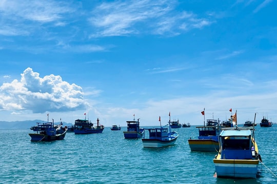 Bình Thuận triển khai đợt cao điểm chống khai thác IUU