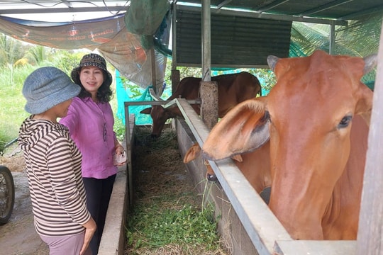 Vượt qua khó khăn để sản xuất kinh doanh hiệu quả
