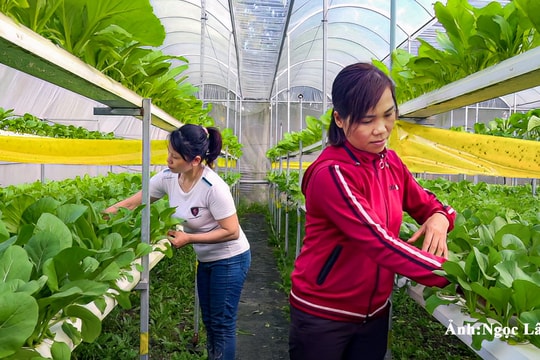 Lan tỏa tinh thần đoàn kết giúp nhau, làm giàu chính đáng
