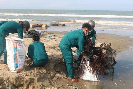 Cùng hành động vì biển xanh từ Mũi Né