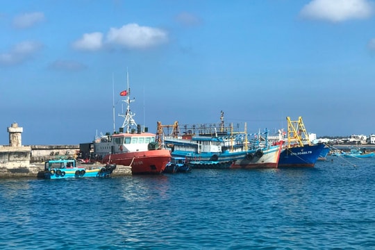 Phú Quý tập trung phát triển kinh tế biển