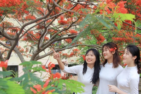 Tháng sáu – mùa gieo hạt hy vọng!