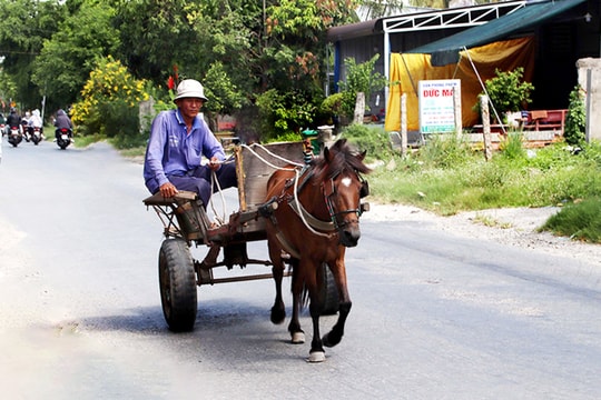 Tuổi thơ với những cỗ xe ngựa trên đường