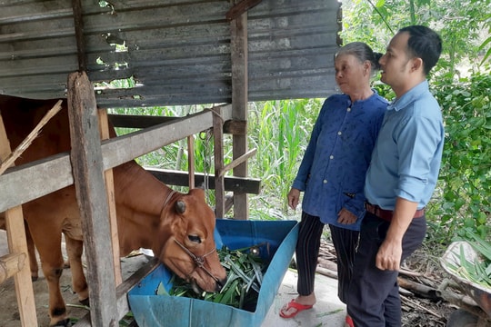 Cách giảm nghèo hiệu quả ở Đông Hà