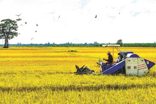 50 năm “trị hạn” của Bình Thuận: Sự trù phú không chỉ ven sông La Ngà