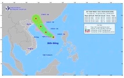 Bình Thuận chủ động ứng phó với áp thấp nhiệt đới