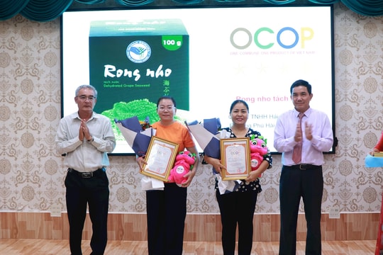 Phát triển OCOP: Nâng chất sản phẩm, mở rộng thị trường