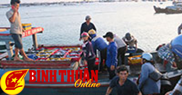 Những loại hải sản đặc biệt nào chỉ có ở đảo Phú Quý có thể mua tại chợ hải sản này?
