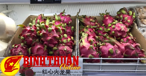 ドラゴンフルーツ栽培者に道を開く