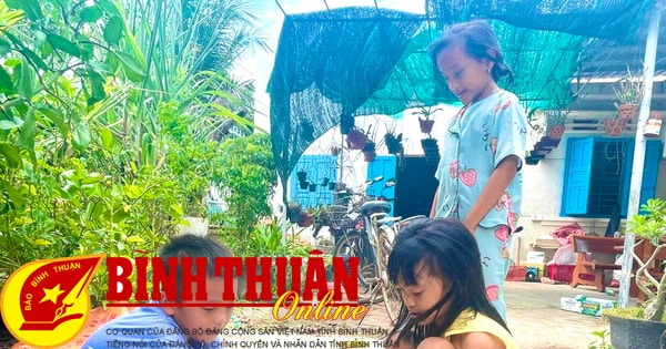 Khám Phá tỷ lệ cá cược - Trò Chơi Cổ Điển Gợi Nhớ Ký Ức Tuổi Thơ
