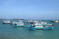 Bình Thuận khai thác hiệu quả tiềm năng kinh tế biển