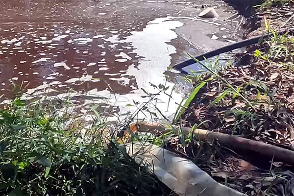 Xí nghiệp chăn nuôi heo Vissan Bình Thuận xả thải không đúng quy định